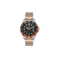 Наручний годинник Ferro F11253A-E3