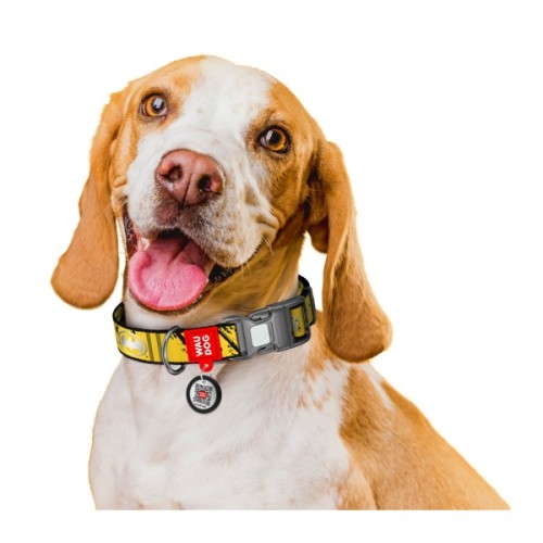 Нашийник для тварин WAUDOG Nylon з QR паспортом "Бетмен Ескіз", пластиковий фастекс, M (281-1081)