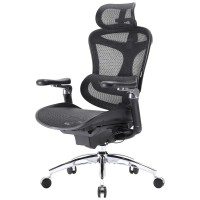 Офісне крісло Sihoo DORO C300 Pro Mesh Black (DORO-C300-PRO-M101)