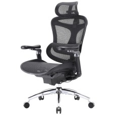 Офісне крісло Sihoo DORO C300 Pro Mesh Black (DORO-C300-PRO-M101)
