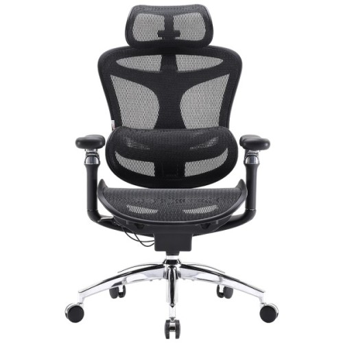 Офісне крісло Sihoo DORO C300 Pro Mesh Black (DORO-C300-PRO-M101)
