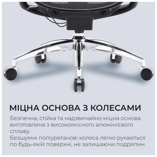 Офісне крісло Sihoo DORO C300 Pro Mesh Black (DORO-C300-PRO-M101)
