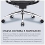 Офісне крісло Sihoo DORO C300 Pro Mesh Black (DORO-C300-PRO-M101)