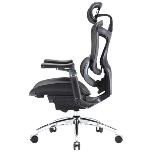 Офісне крісло Sihoo DORO C300 Pro Mesh Black (DORO-C300-PRO-M101)