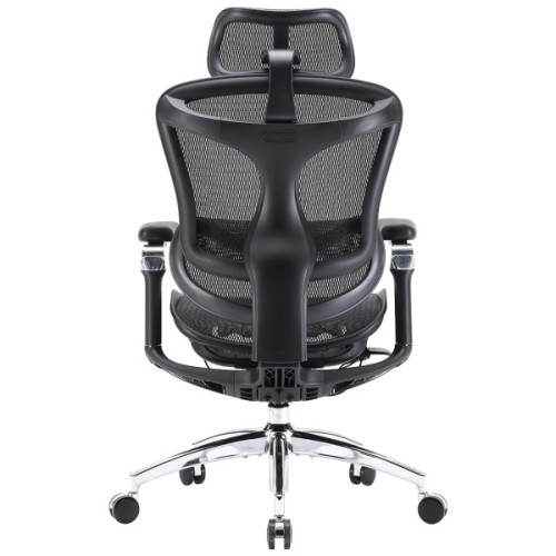 Офісне крісло Sihoo DORO C300 Pro Mesh Black (DORO-C300-PRO-M101)