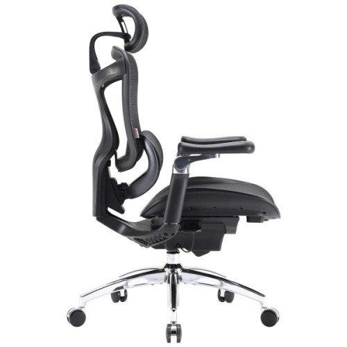 Офісне крісло Sihoo DORO C300 Pro Mesh Black (DORO-C300-PRO-M101)