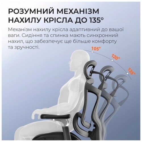 Офісне крісло Sihoo DORO C300 Pro Mesh Black (DORO-C300-PRO-M101)