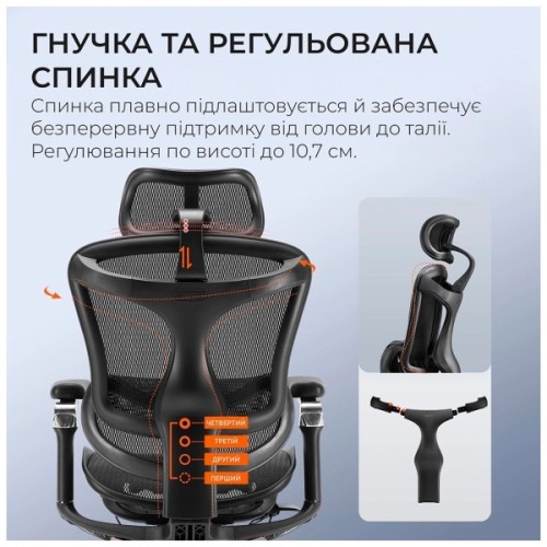 Офісне крісло Sihoo DORO C300 Pro Mesh Black (DORO-C300-PRO-M101)