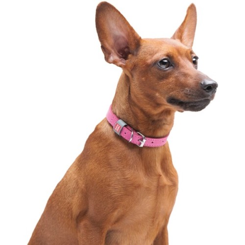 Нашийник для тварин WAUDOG Classic шкіряний 12 мм х 21-29 см рожевий (02027)