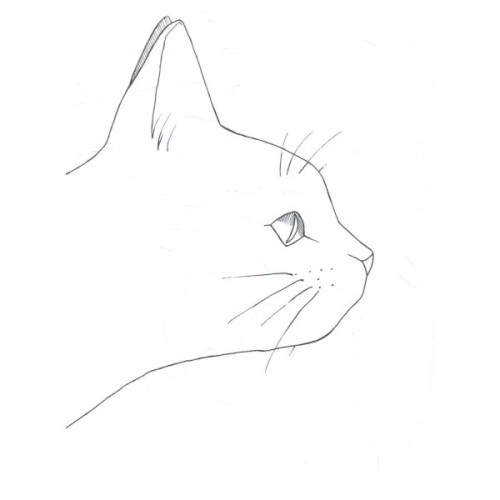 Книга #girls #fashion #cats Жорж (9786177579204)