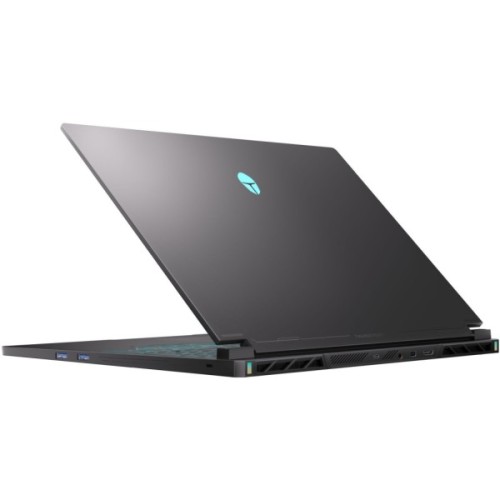 Ноутбук Thunderobot RS16 (RS16-i9139HX57C1Q240ARB)