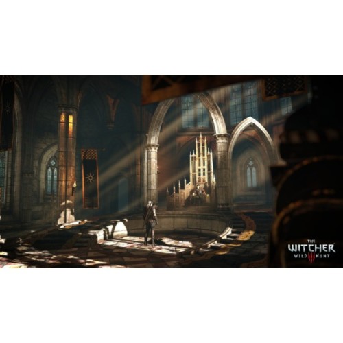 Гра Sony The Witcher 3 Wild Hunt Complete Edition + 10th Anniversary Steelbook, BD диск (5908305250463)