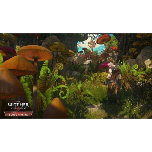 Гра Sony The Witcher 3 Wild Hunt Complete Edition + 10th Anniversary Steelbook, BD диск (5908305250463)