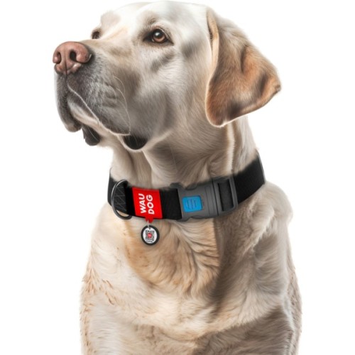 Нашийник для тварин WAUDOG Waterproof з QR паспортом пластиковий фастекс XXL чорний (25111)