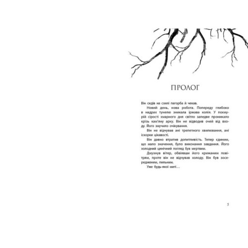 Книга Провідник. Книга 1 - Клер Мак-Фолл Readberry (9786170972668)