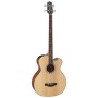 Бас-гітара акустична Takamine GB30CE NAT (234764)