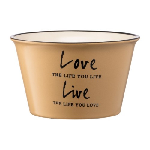 Бульйонниця Ardesto Way of Life 550 мл Beige (AR3479OL)