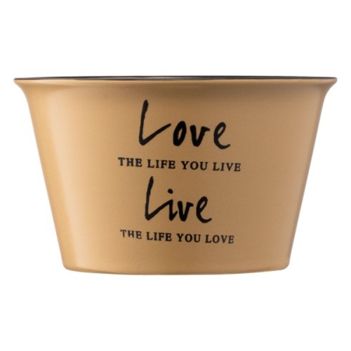 Бульйонниця Ardesto Way of Life 550 мл Beige (AR3479OL)