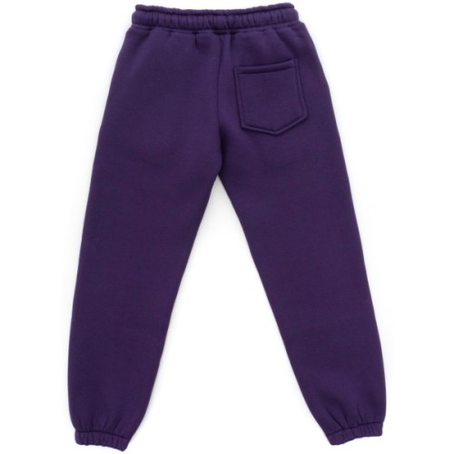 Спортивний костюм дитячий A-Yugi флісовий (7205-140G-lilac)