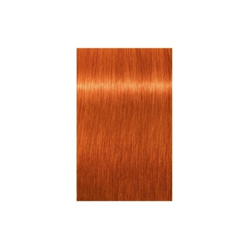 Фарба для волосся Schwarzkopf Professional Igora Royal 8-77 60 мл (4045787205343)