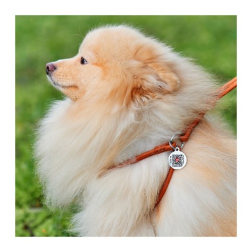 Шлея для собак WAUDOG Soft з QR паспортом кругла Д 6 мм А 26-46 см В 30-50 см коричнева (46236)