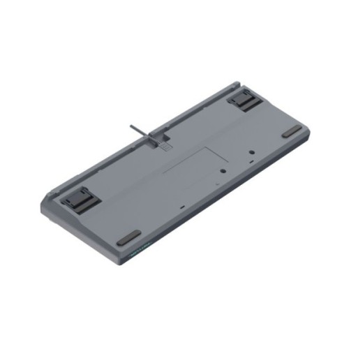 Клавіатура A4Tech FS300 FS Switches USB Panda Rock Climbin (4711421000444)