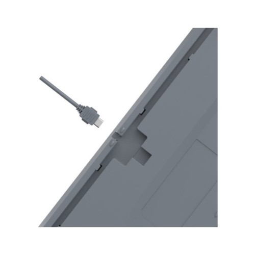 Клавіатура A4Tech FS300 FS Switches USB Panda Rock Climbin (4711421000444)