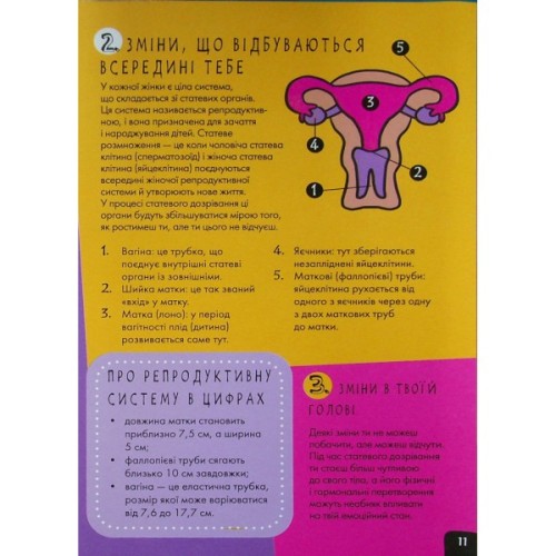 Книга Про це в цифрах. Цікаво про секс і дорослішання - Ліз Флейвел Ранок (9786170971043)