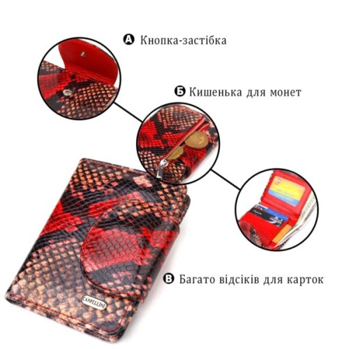 Гаманець Canpellini З натуральної шкіри Різнобарвний (21667)