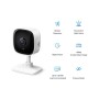 Камера відеоспостереження TP-Link TAPO TC60 (TAPO-TC60)