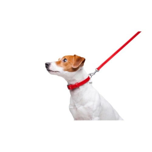 Повідець для собак WAUDOG Glamour шкіряний XS червоний (33723)