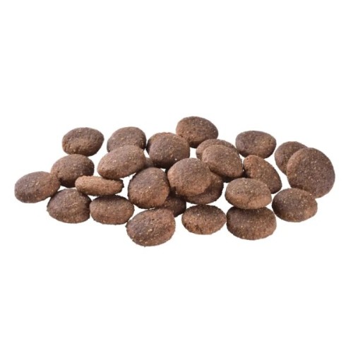 Сухий корм для собак Brit Care Dog Grain-free Adult Large Breed беззерновий з лососем 3 кг (8595602558902)