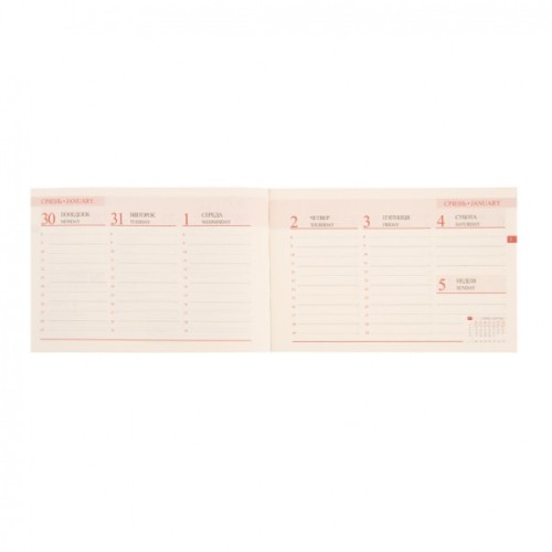 Тижневик Leo planner датований 2025 Cioccolato 10х15 см 128 сторінок (252570)