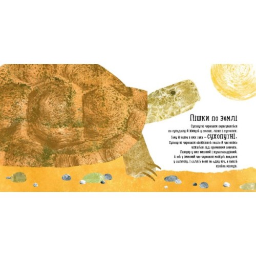 Книга Куди поділася черепаха - Наталія Чуб Ранок (9786170942937)