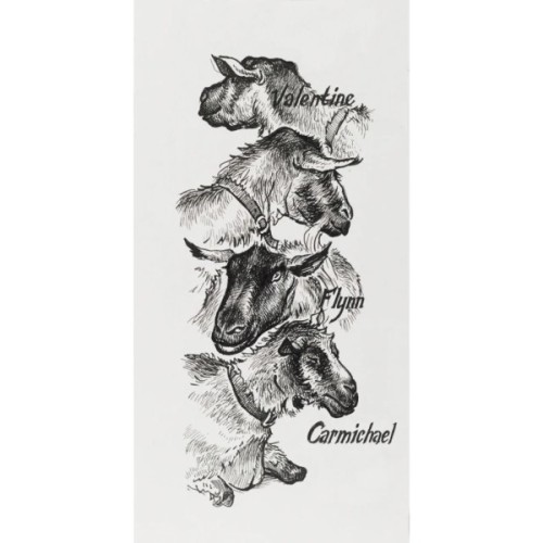 Лайнер Faber-Castell набір капілярних ручок PITT Artist Pen black fineliner, 4 шт (XS, S, F, M) чорного коліру (25826)
