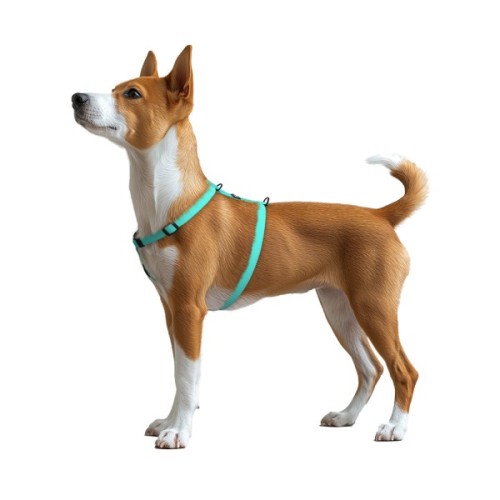 Шлея для собак WAUDOG Magnet анатомічна Н-подібна з QR-паспортом, магнітна пряжка-фастекс S тіффані (262227)