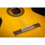 Гітара класична Takamine GC5 NAT (234729)