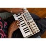 MIDI-клавіатура Akai MPK mini 4 White (302371)