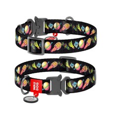 Нашийник для тварин WAUDOG Nylon з QR паспортом "Рік і Морті 3" металева пряжка-фастекс XL (4508-0282)