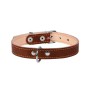 Нашийник для тварин Collar подвійний Ш 14 мм Д 27-35 см коричневий (00126)