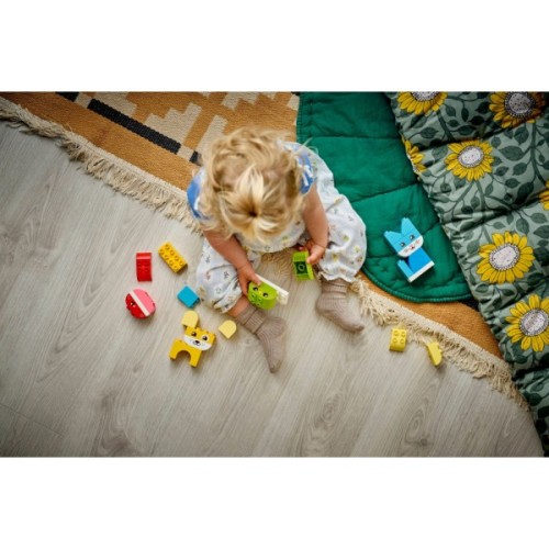 Конструктор LEGO DUPLO My First Чарівні творчі домашні улюбленці 3 в 1 (10477-)