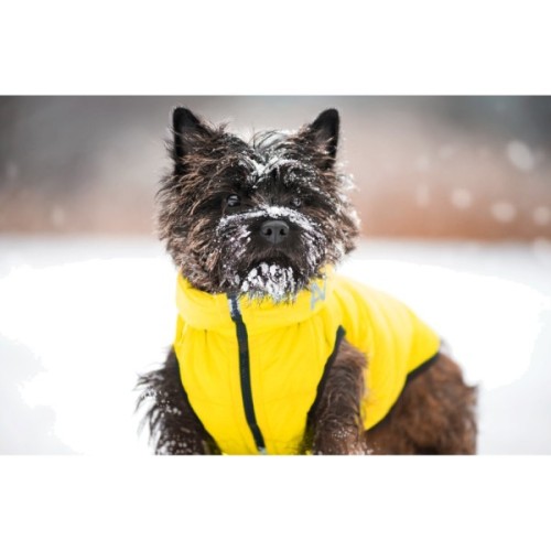 Курточка для тварин Collar AiryVest "Colors of freedom" L 55 (4449-4020)