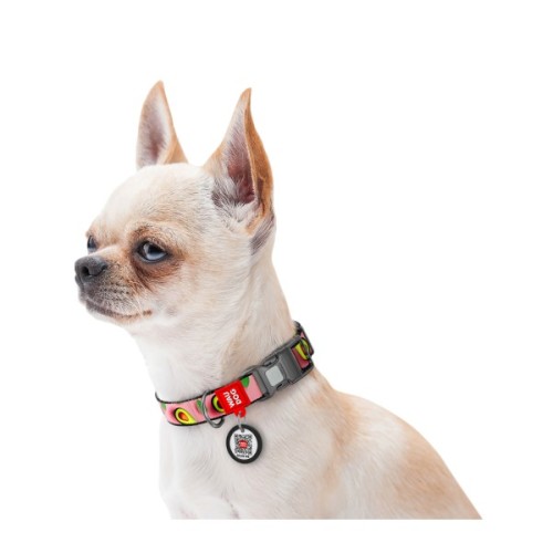 Нашийник для тварин WAUDOG Nylon з QR адресником "Авокадо на рожевому" пластиковий фастекс XS (278-4051)