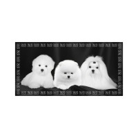 Рушник для тварин Tauro Pro Line з мікрофібри високопоглинаючий з померанським шпіцом, мальтійською болонкою та бішоном фрізе 80 (TPLRAN70317)