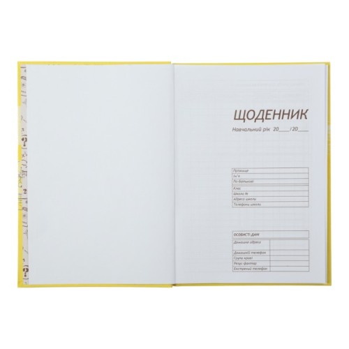 Щоденник шкільний ZiBi ТЕКСТУРА В5, 40 аркушів, тверда обкладинка (ZB.13765-43)