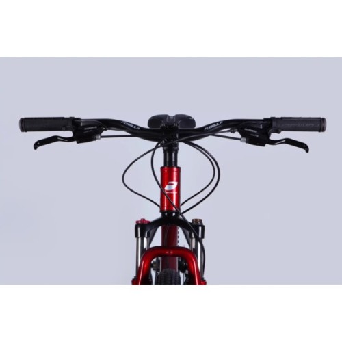 Велосипед Formula 29" F-1 DD CS рама-19" AL 2026 червоно-сірий (OPS-FR-29-435)