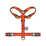 Шлея для собак WAUDOG Nylon H-подібна з QR-паспортом "Флеш Лого", світловідбивна М (344-1083)
