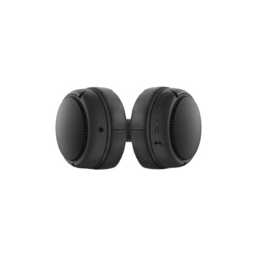 Навушники Panasonic RB-M300BGE-K Black (RB-M300BGE-K)