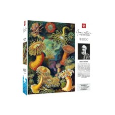 Пазл GoodLoot Imagination: Ernst Haeckel: Sea Anemones 1000 ел. (5908305244943) Пазл GoodLoot Imagination: Ernst Haeckel: Sea Anemones 1000 ел. (5908305244943)