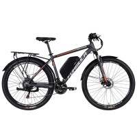 Електровелосипед Formula 29" eMOTION PLUS DD FR рама-19" 48B 15А*г 500Вт 2026 сіро-сріблястий (ELB-FR-29-261)